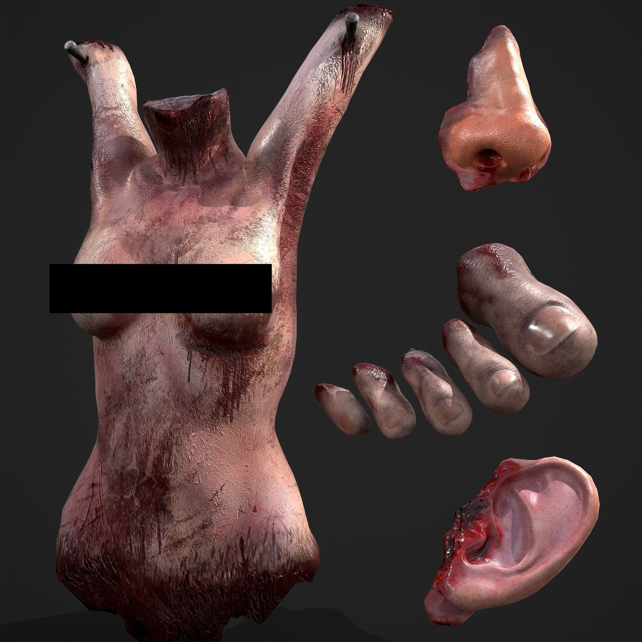 Severed Torso Toes Nose Ear Pack 3D Model Collection_65