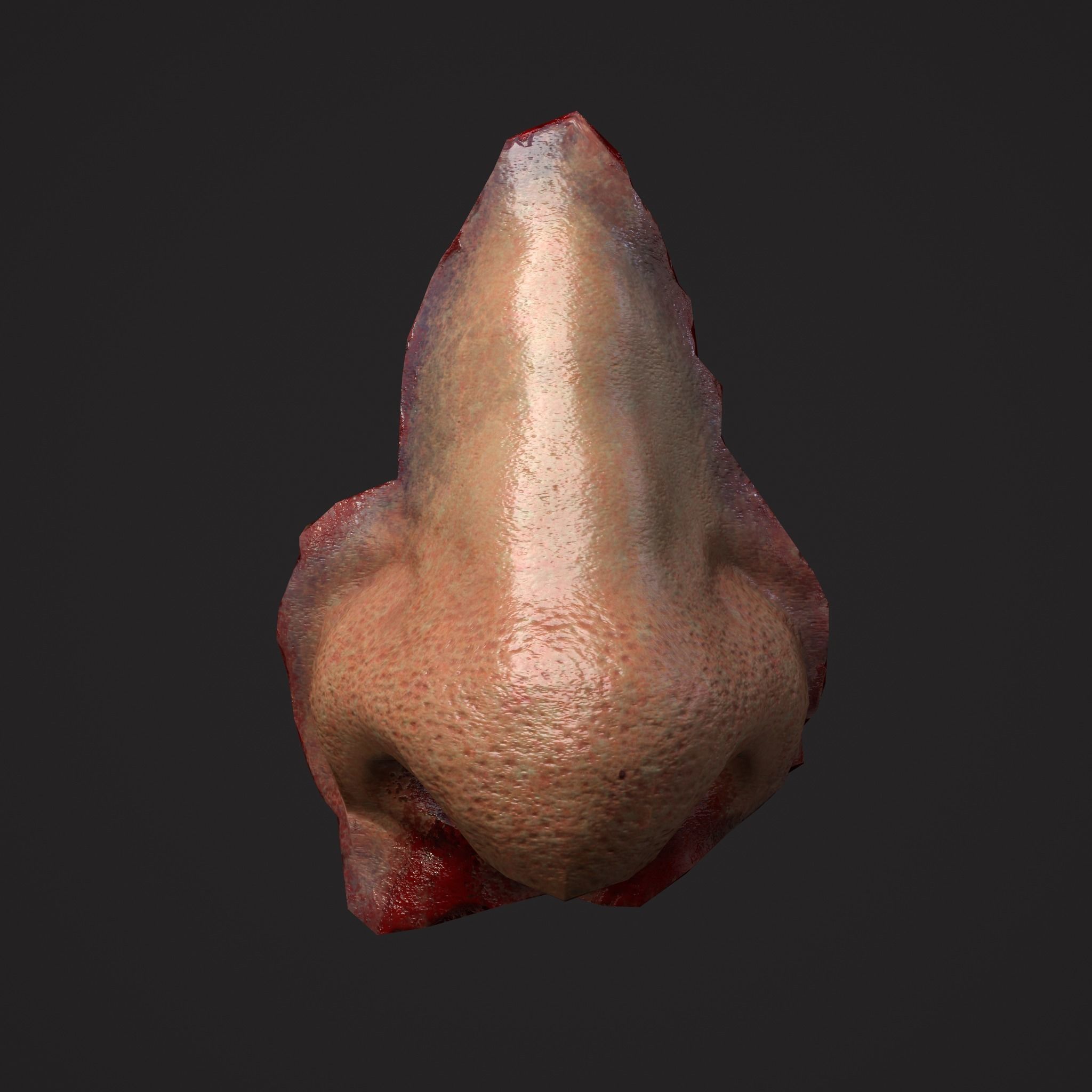 Severed Torso Toes Nose Ear Pack 3D Model Collection_35