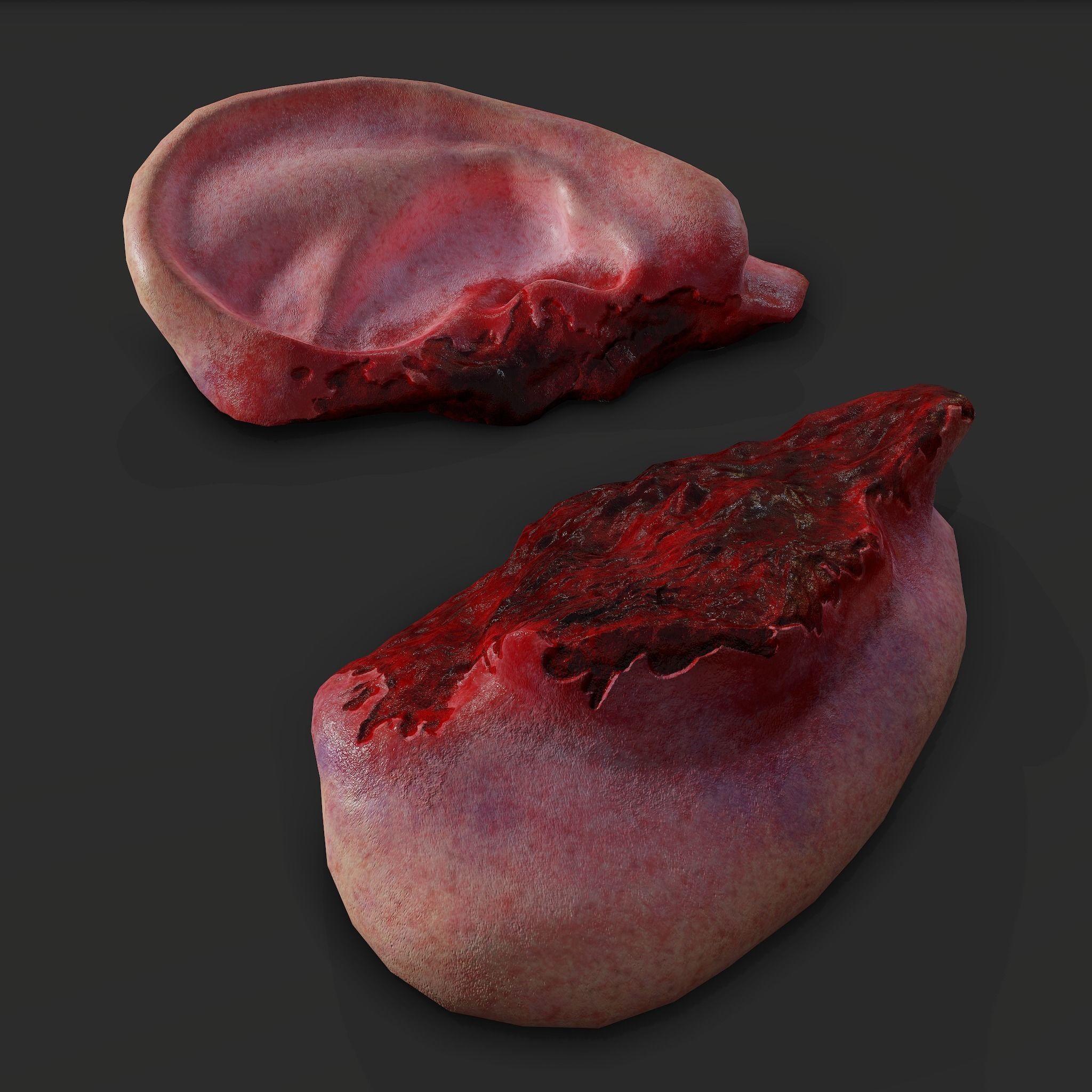 Severed Torso Toes Nose Ear Pack 3D Model Collection_61