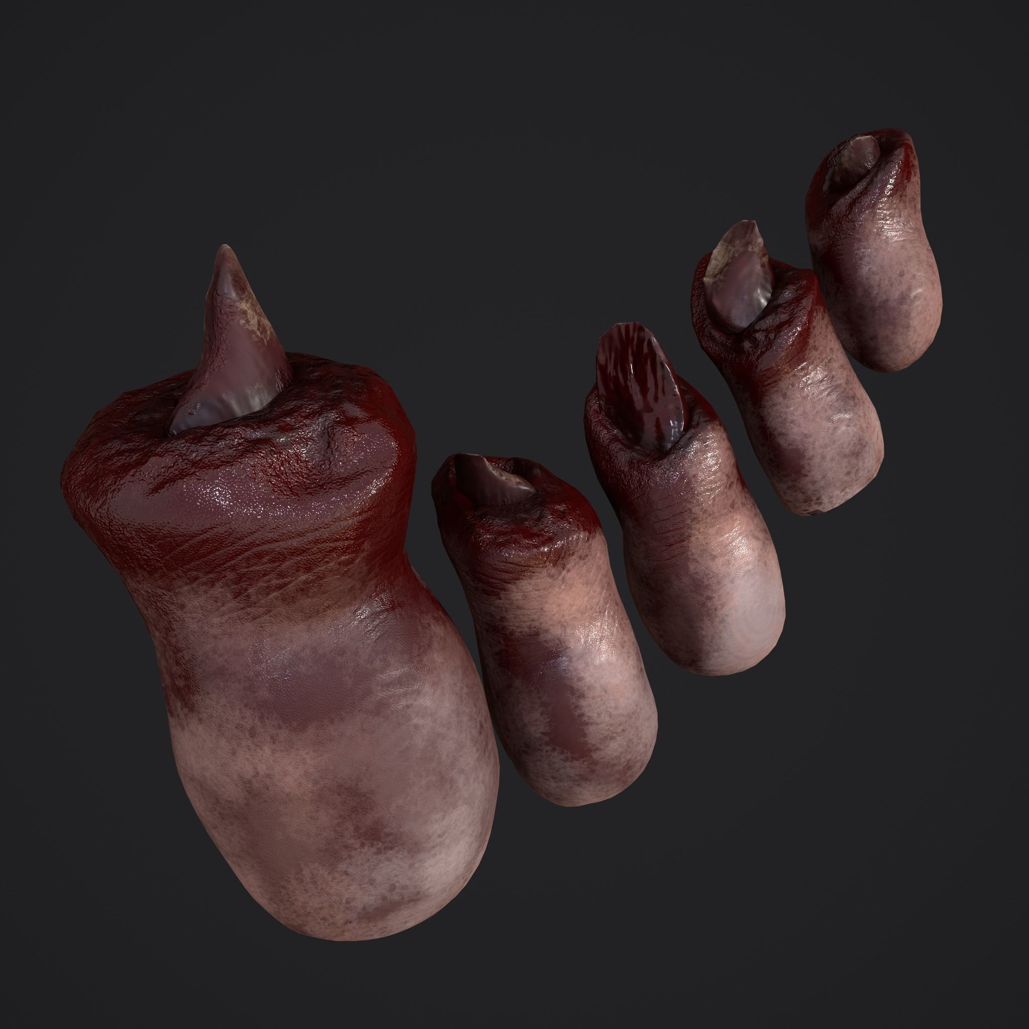 Severed Torso Toes Nose Ear Pack 3D Model Collection_26