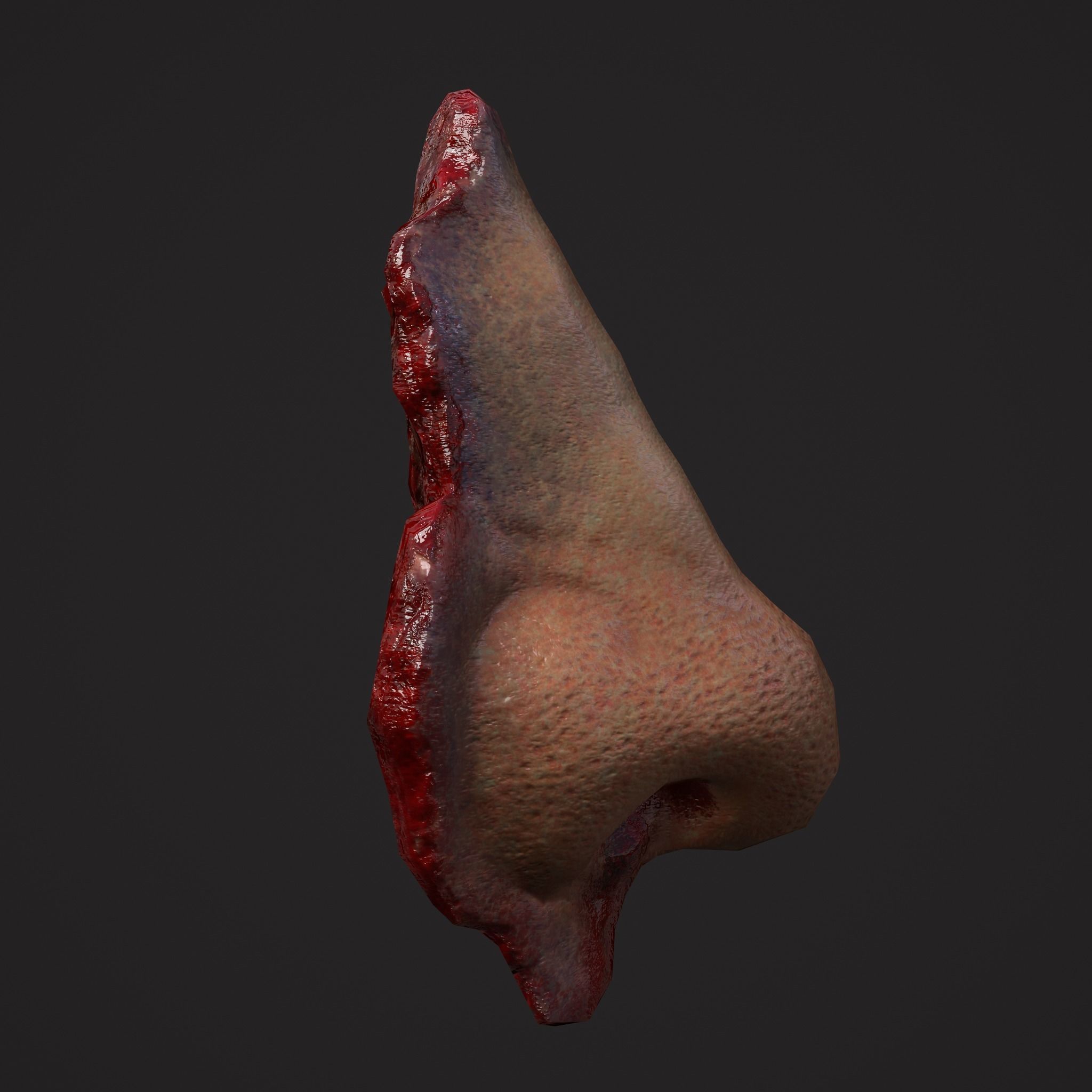 Severed Torso Toes Nose Ear Pack 3D Model Collection_29