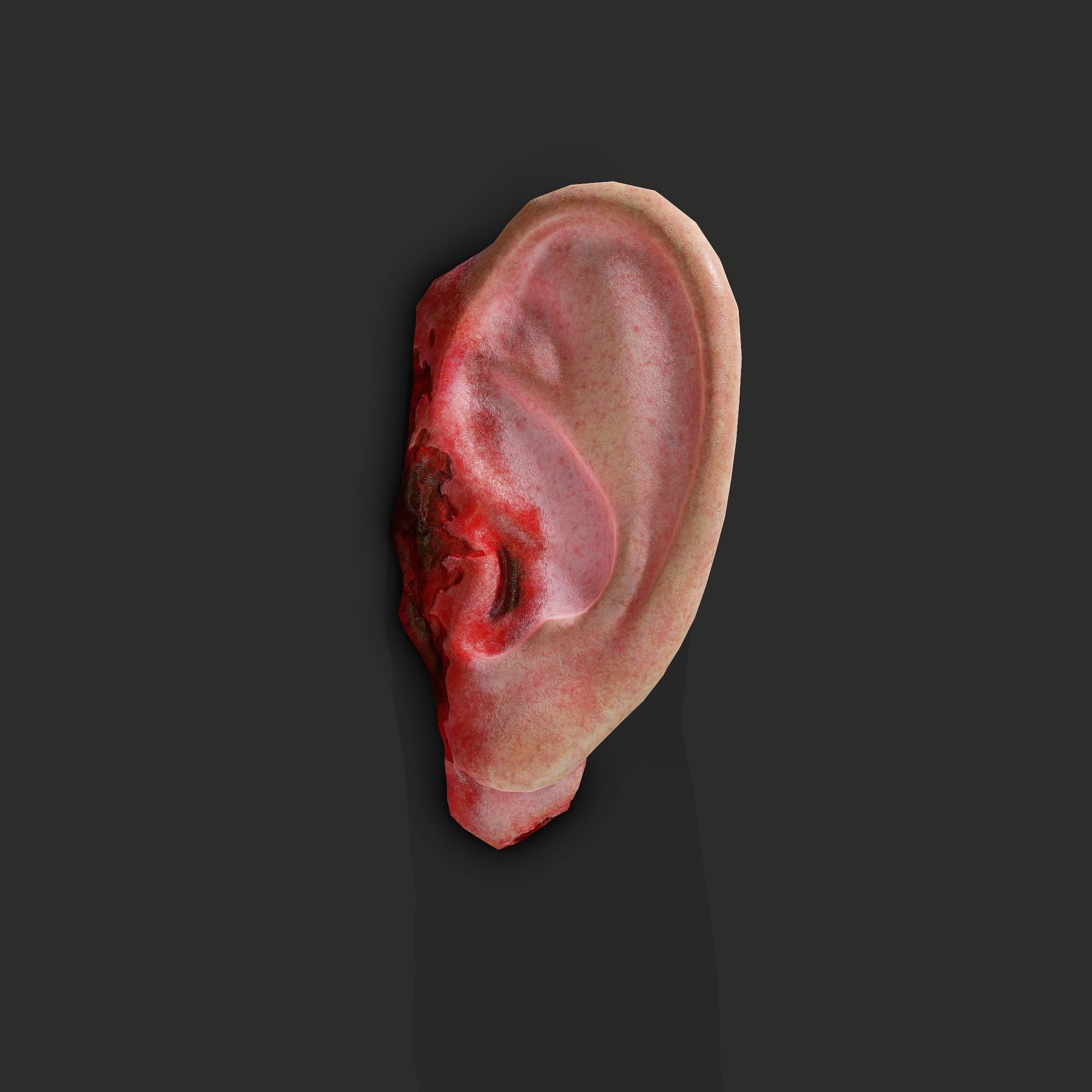 Severed Torso Toes Nose Ear Pack 3D Model Collection_46
