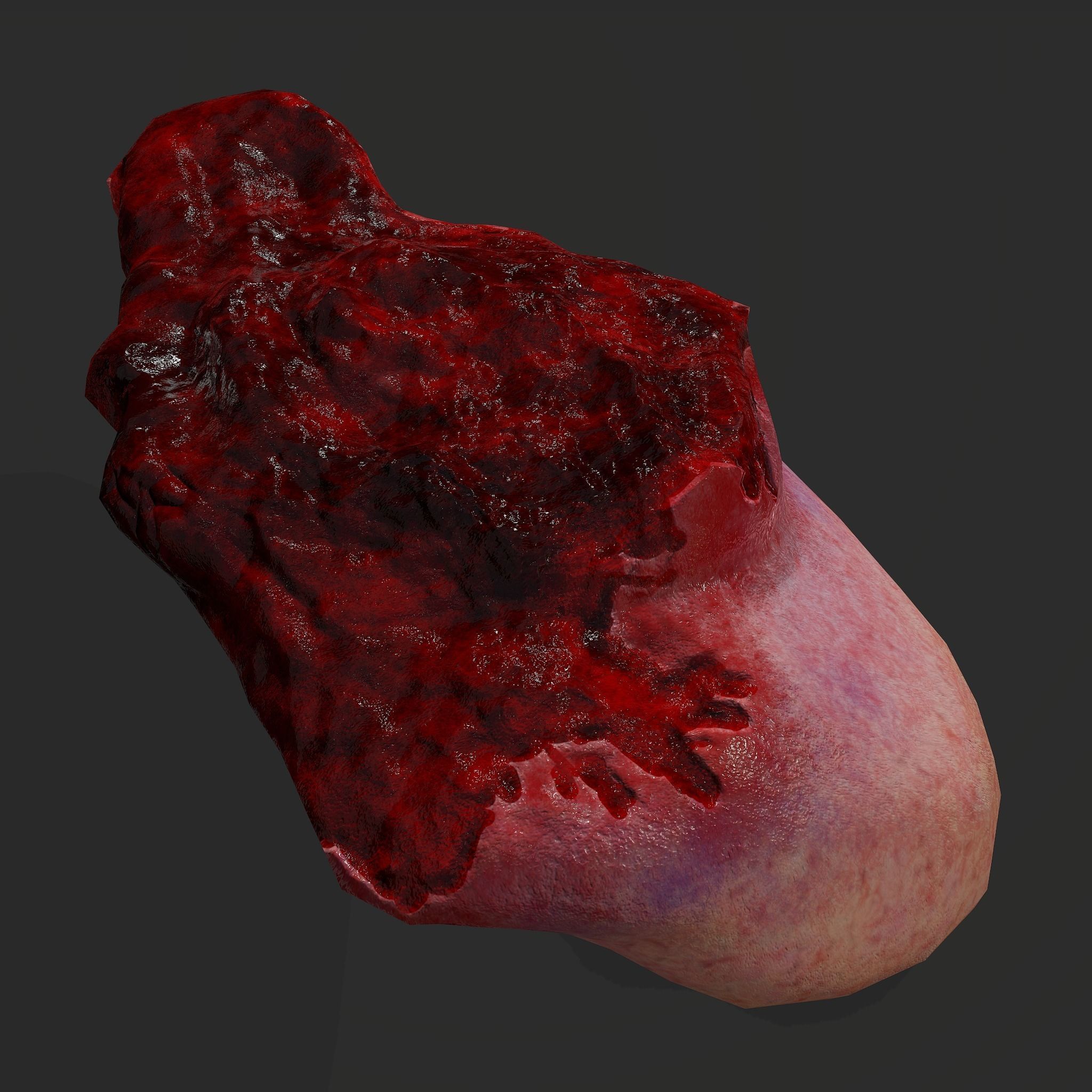 Severed Torso Toes Nose Ear Pack 3D Model Collection_64