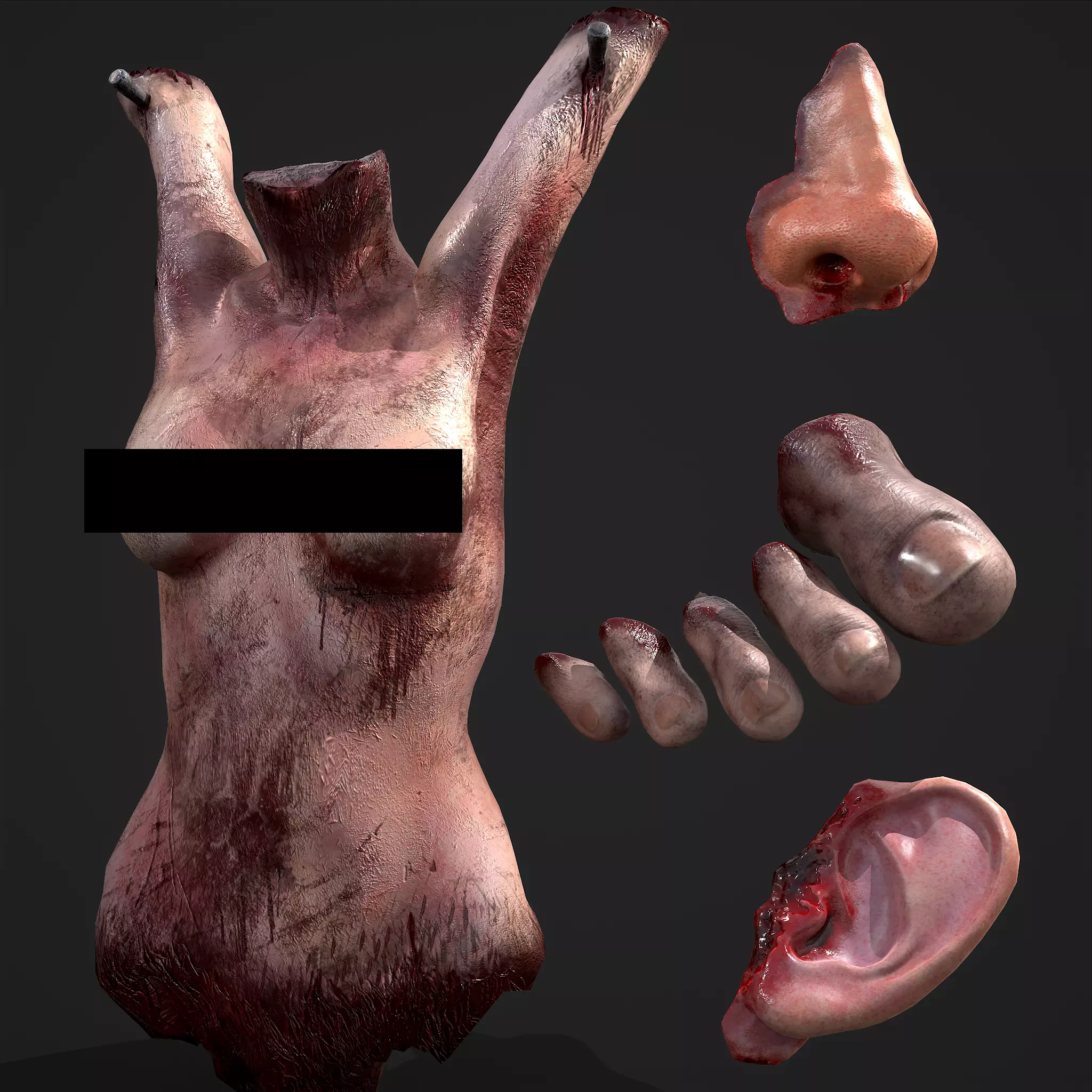 Severed Torso Toes Nose Ear Pack 3D Model Collection_0