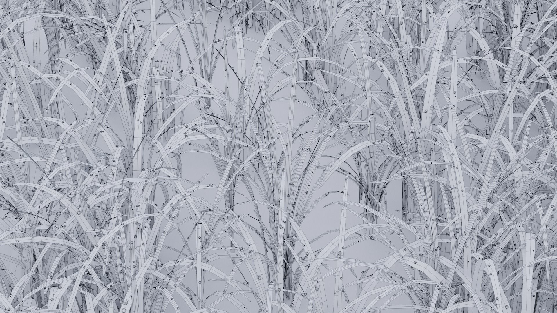 Cornfield 3d Scene 3D model_14
