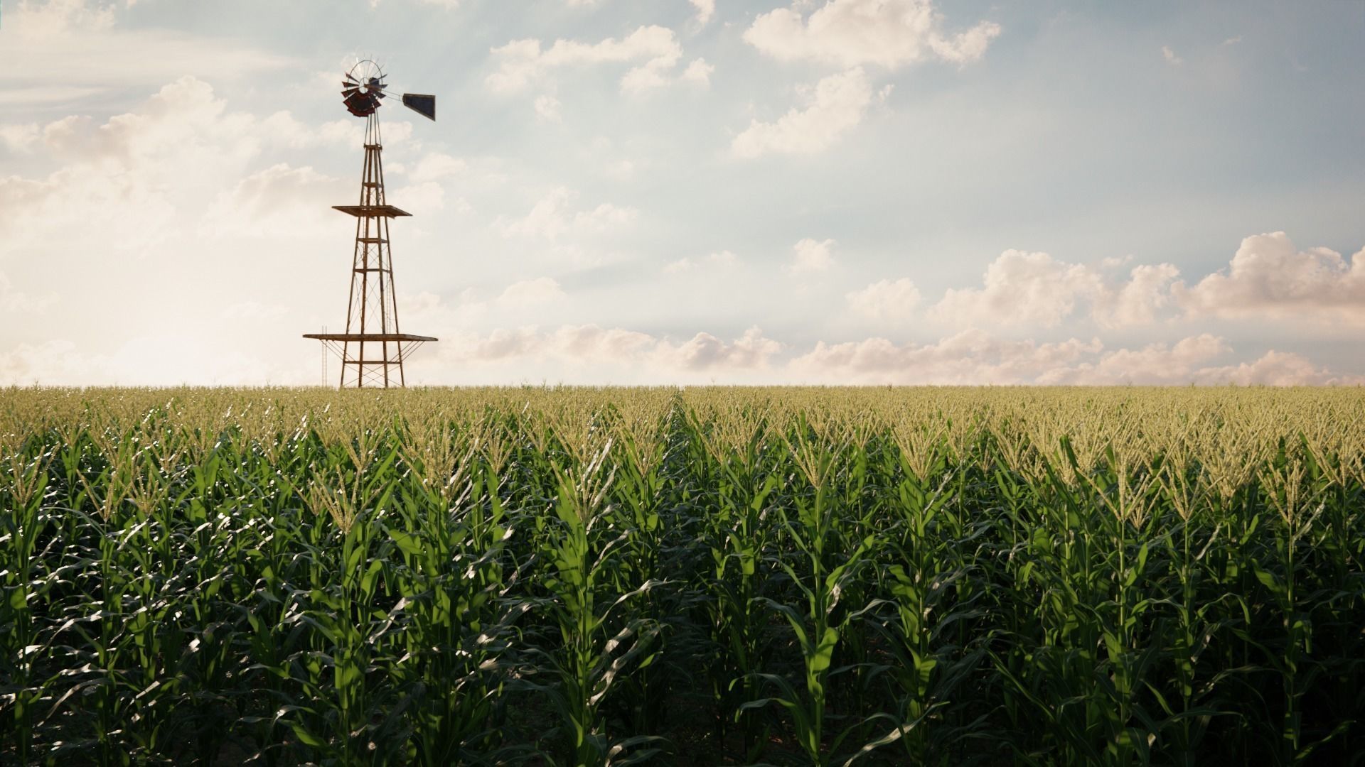 Cornfield 3d Scene 3D model_1