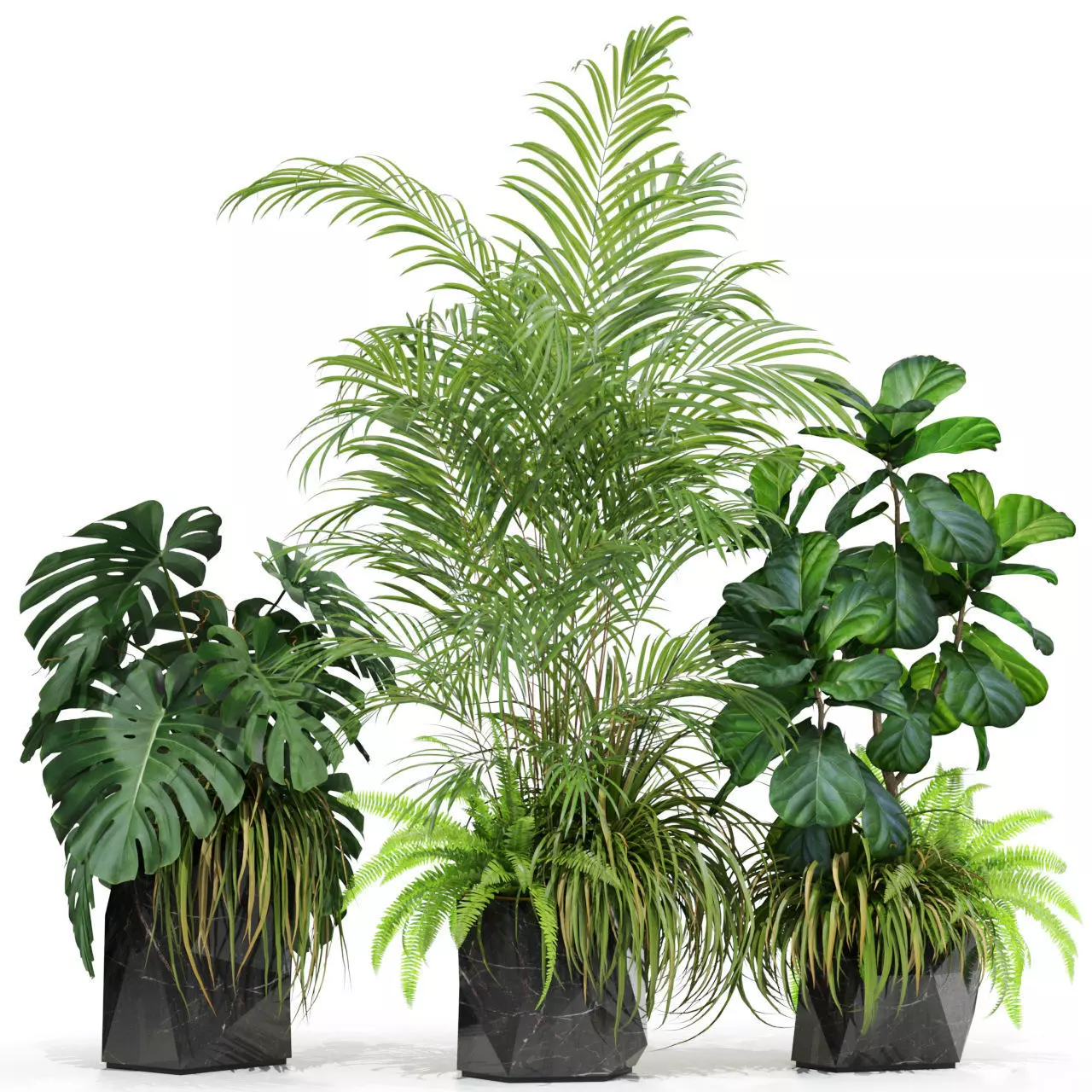 Plants collection 599 3D model