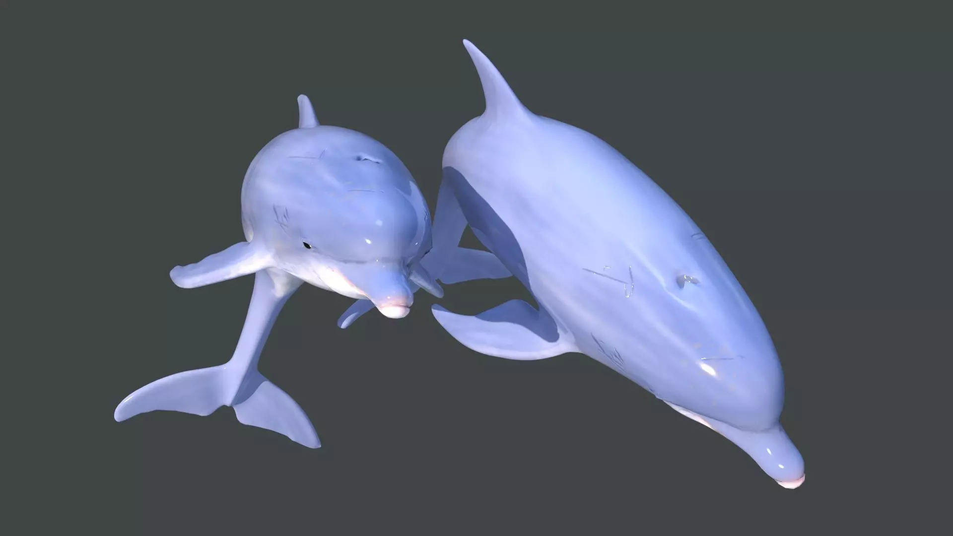 Dolphins two 3D model_0