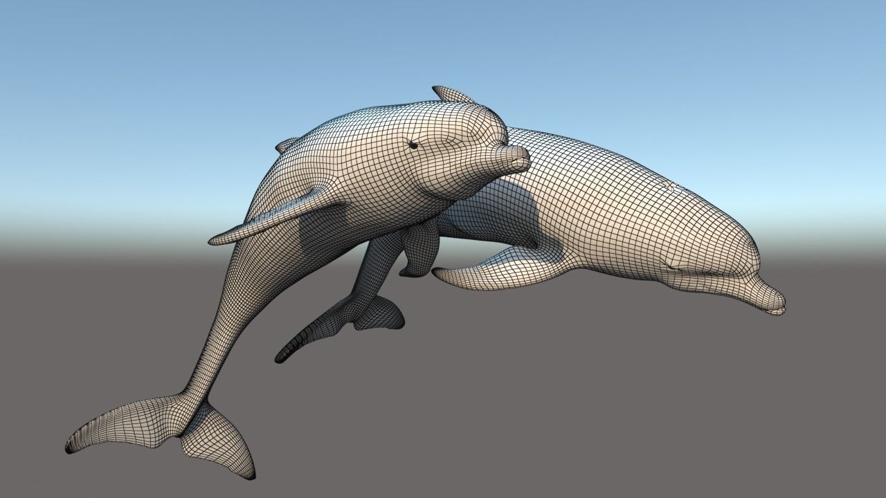 Dolphins two 3D model_6