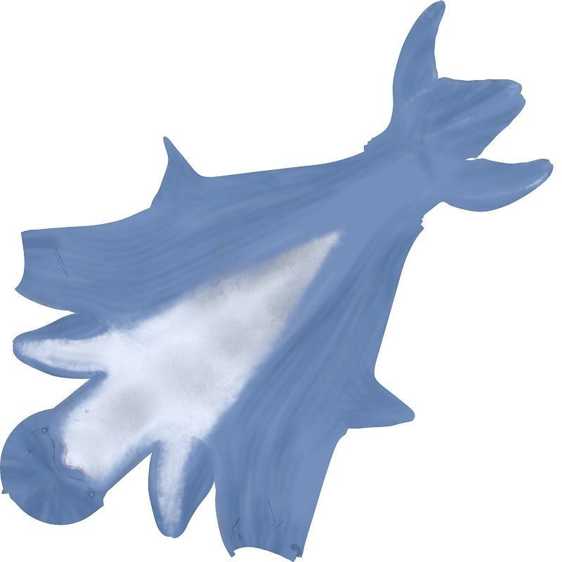 Dolphins two 3D model_5