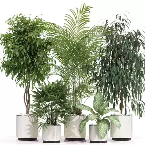 Plants collection 600 3D model