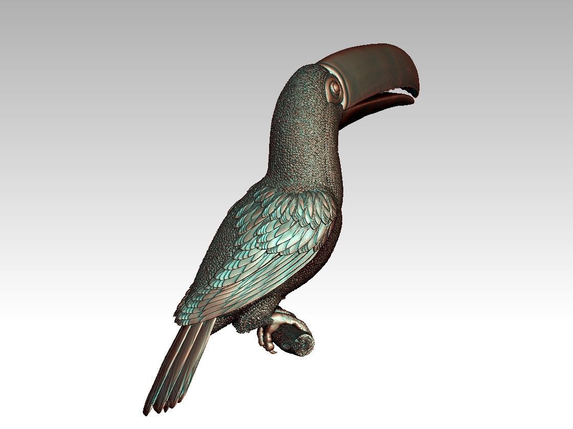 tucan toucan 3D print model_5