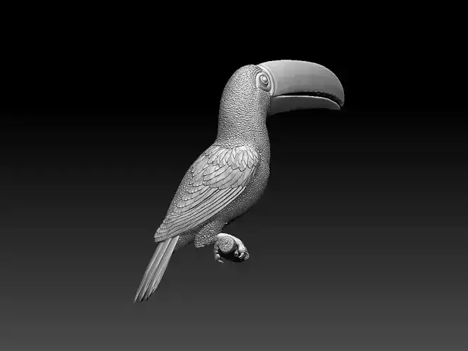 tucan toucan 3D print model