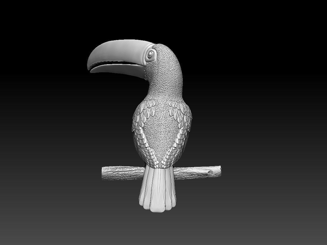 tucan toucan 3D print model_4