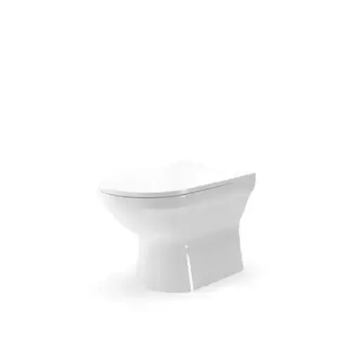 White Porcelain Toilet Bowl