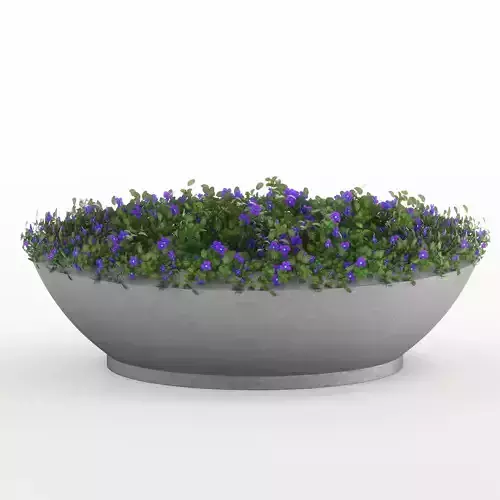 Concrete potted Ivy plant