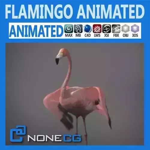 Animated Flamingo 3D model