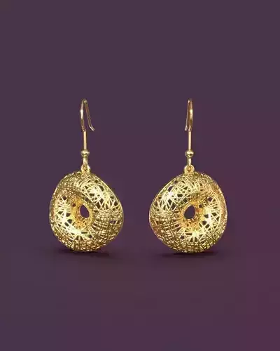 Modern stylized earrings