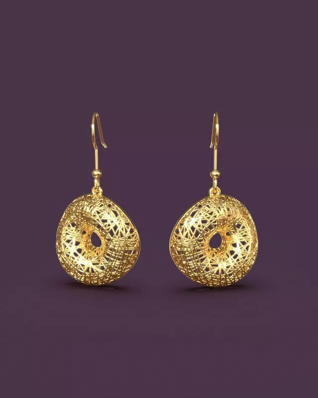 Modern stylized earrings 3D print model