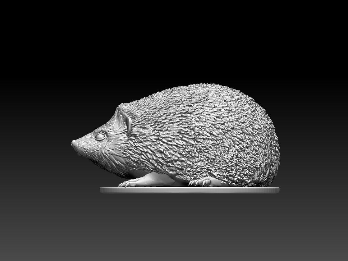 HEDGEHOG in bronze 3D print model_58
