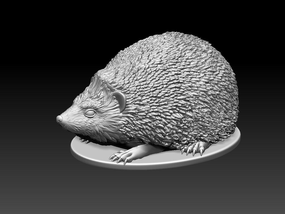 HEDGEHOG in bronze 3D print model_48