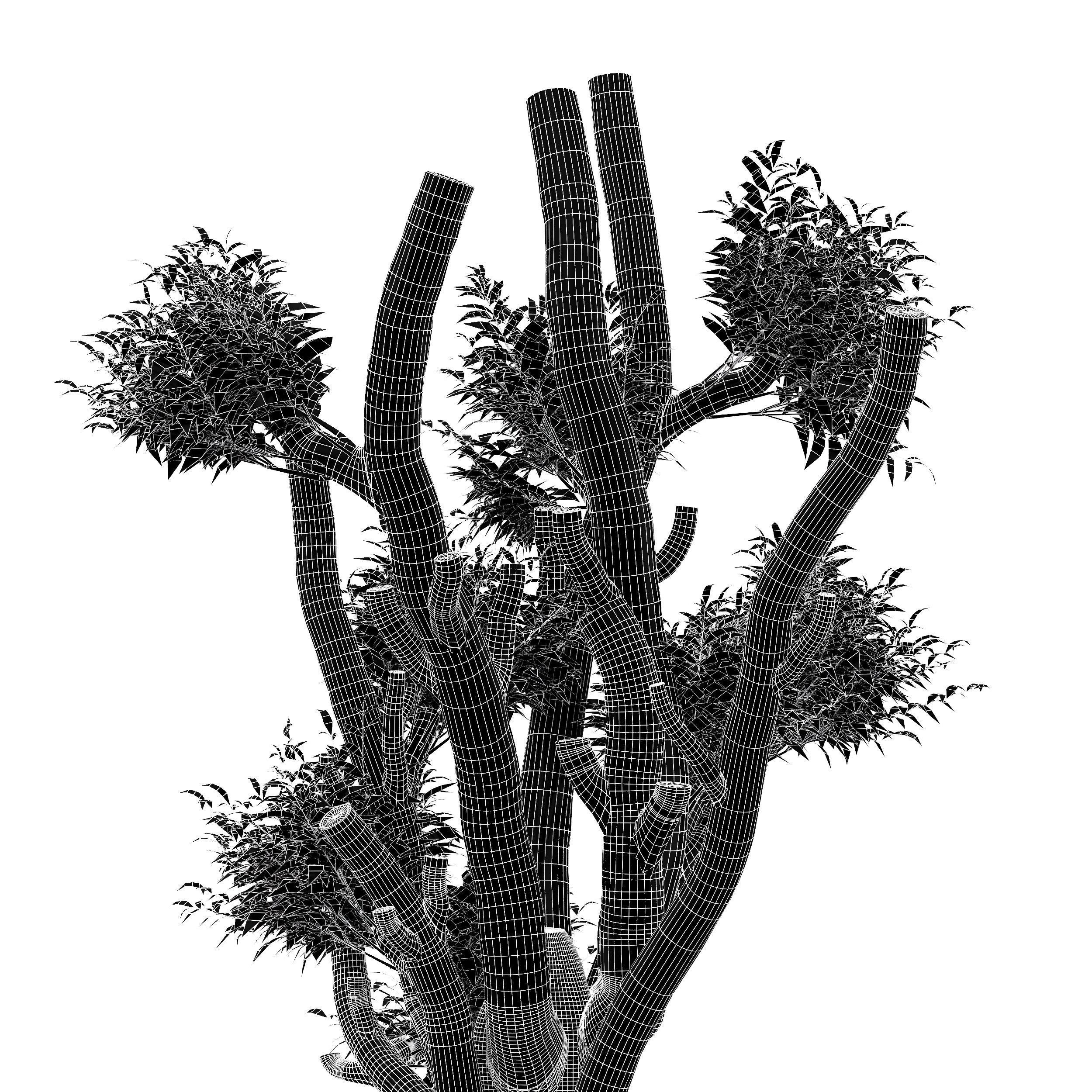 Pollard willow 4trees 3D model_3