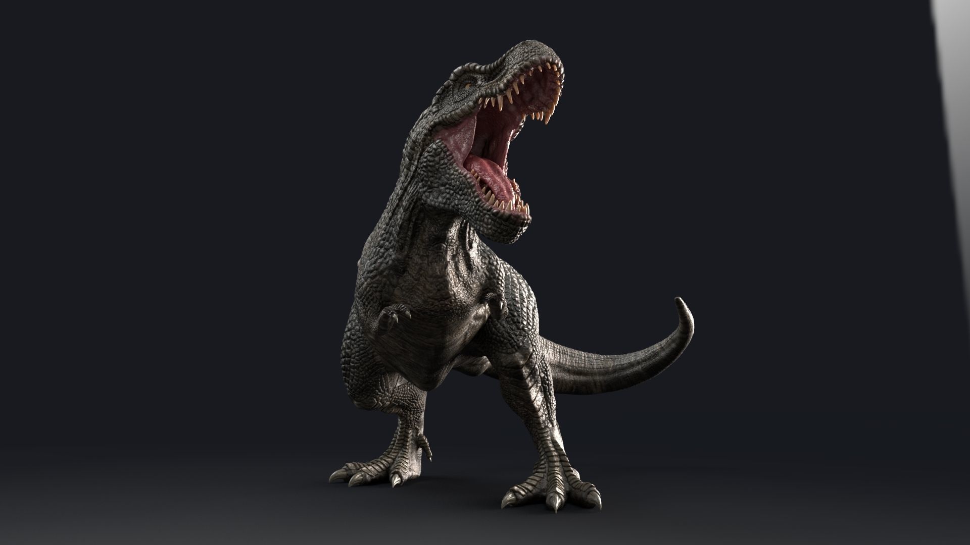 Dinosaur Zhuchengtyrannus Magnus- Ancestor of TRex  58 Anims Low-poly 3D model_13