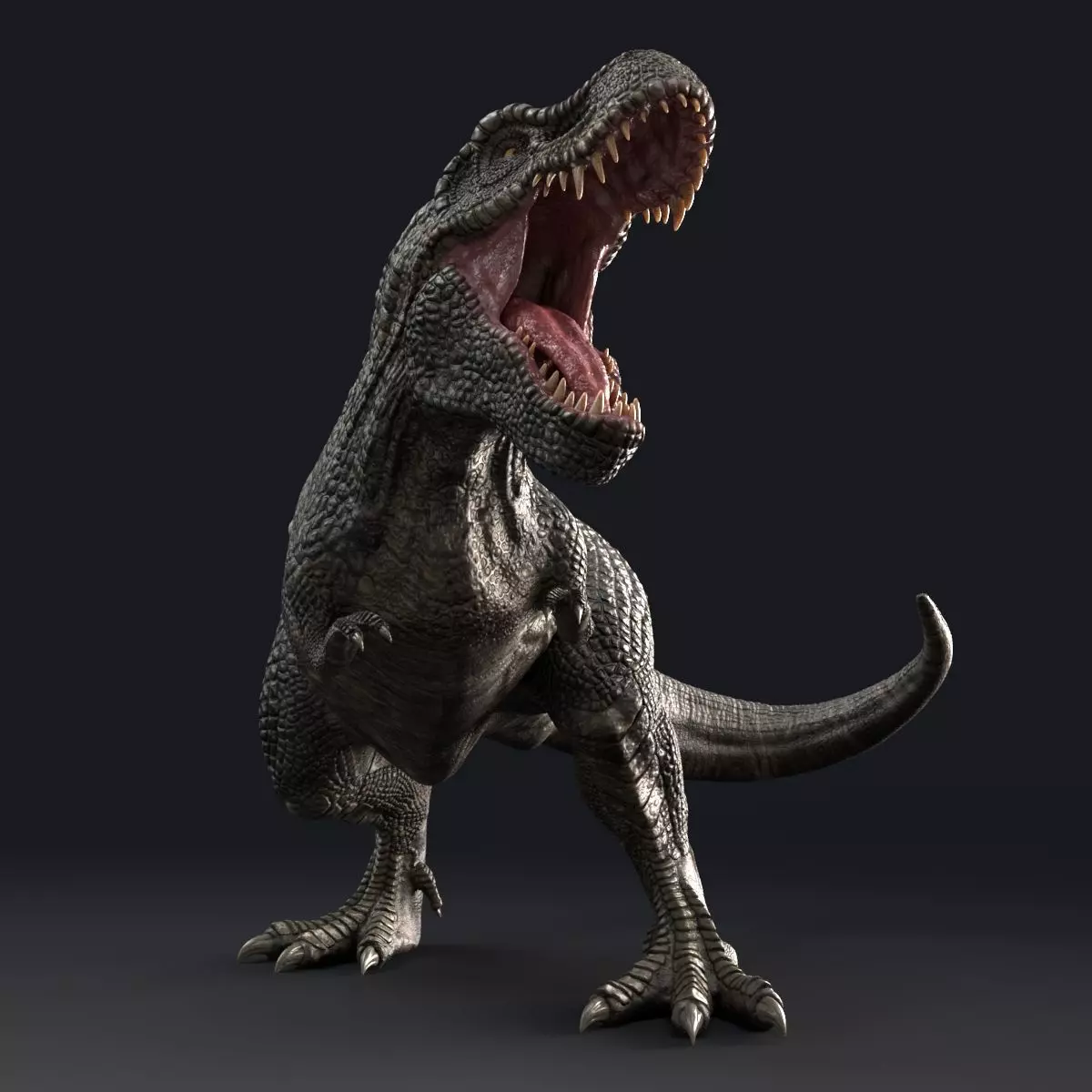 Dinosaur Zhuchengtyrannus Magnus- Ancestor of TRex  58 Anims Low-poly 3D model_0