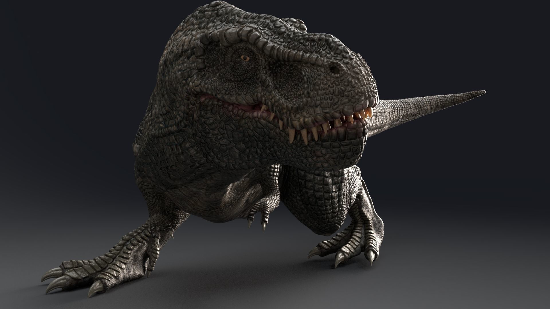 Dinosaur Zhuchengtyrannus Magnus- Ancestor of TRex  58 Anims Low-poly 3D model_5