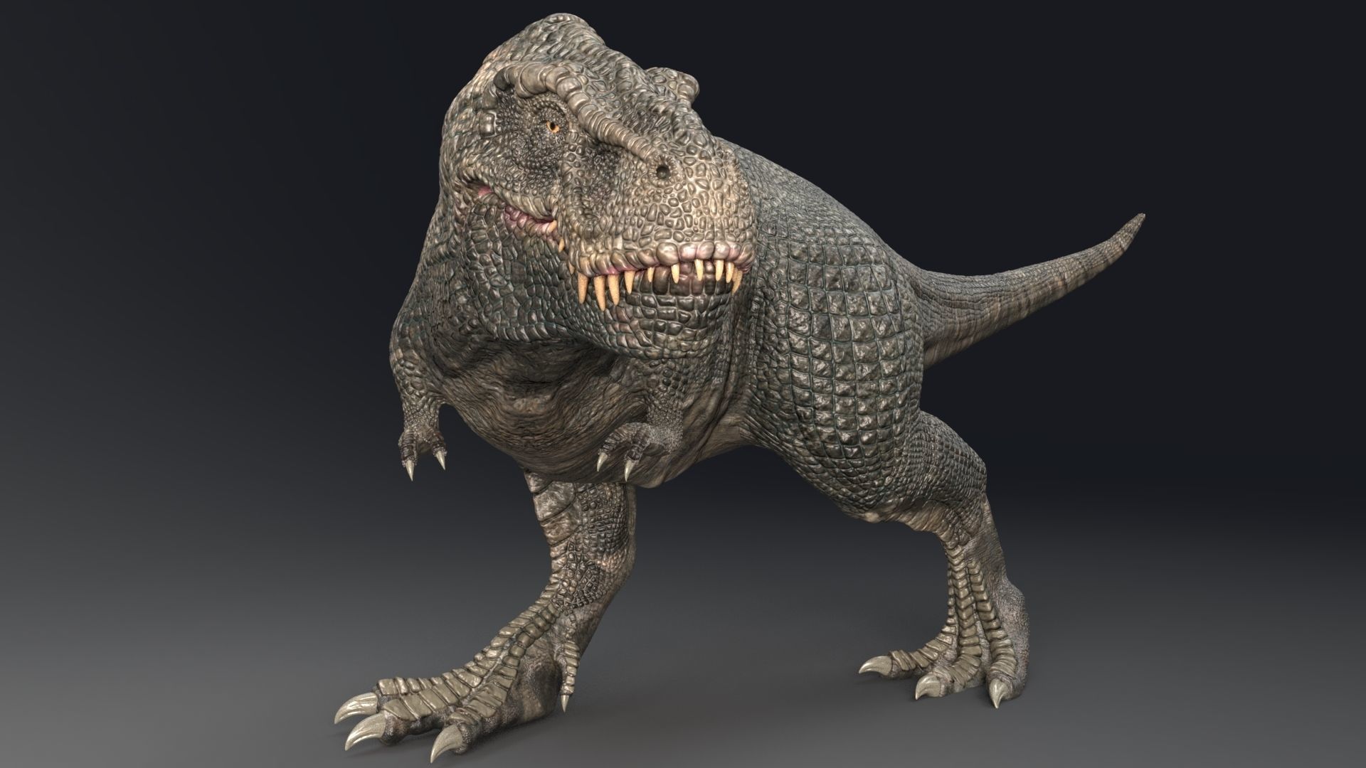 Dinosaur Zhuchengtyrannus Magnus- Ancestor of TRex  58 Anims Low-poly 3D model_10