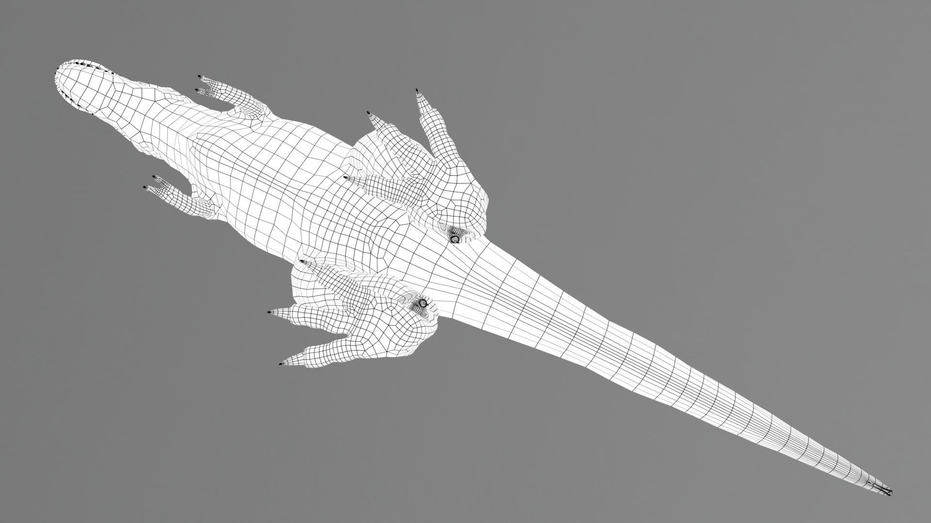 Dinosaur Zhuchengtyrannus Magnus- Ancestor of TRex  58 Anims Low-poly 3D model_21