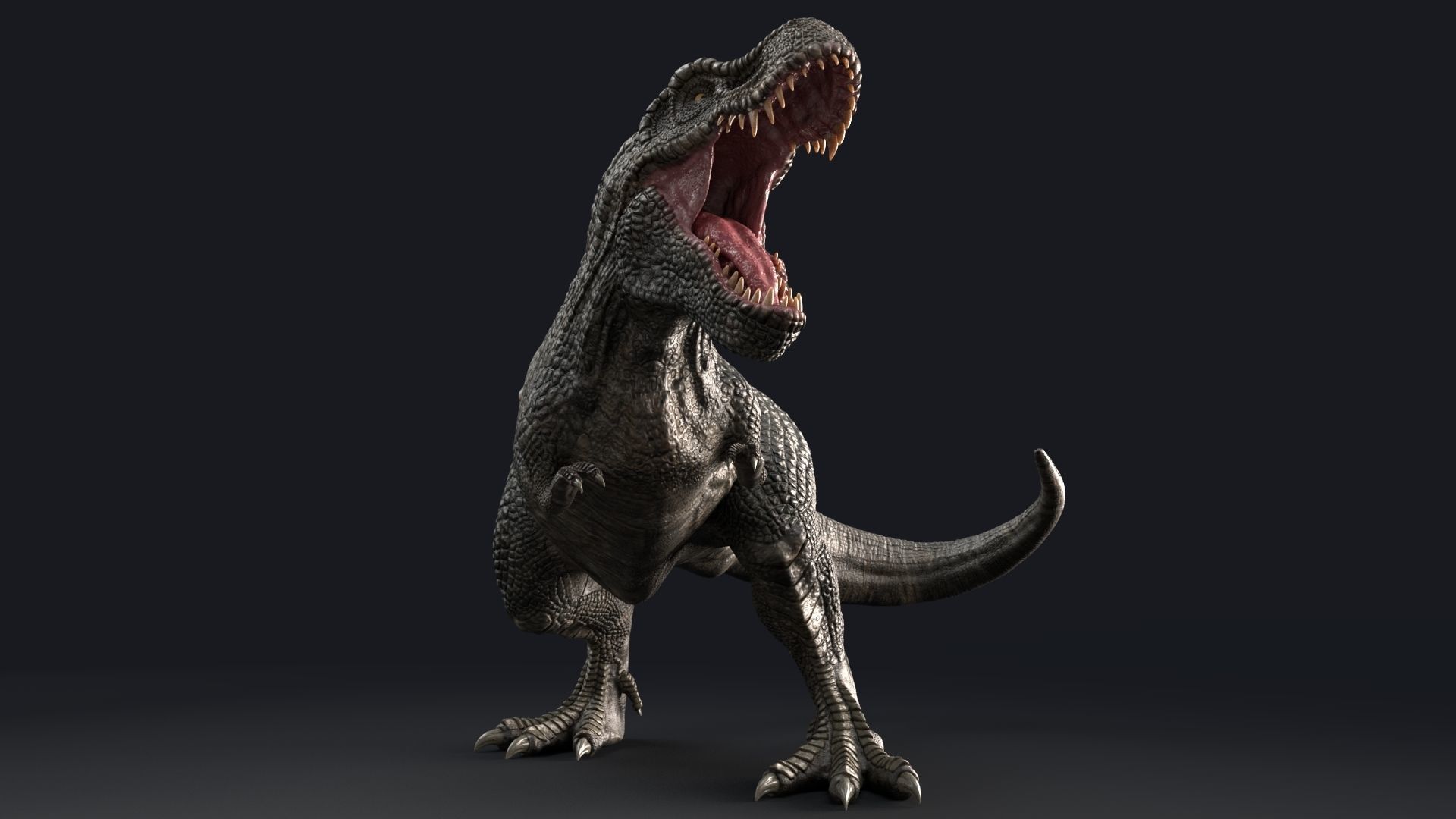 Dinosaur Zhuchengtyrannus Magnus- Ancestor of TRex  58 Anims Low-poly 3D model_12