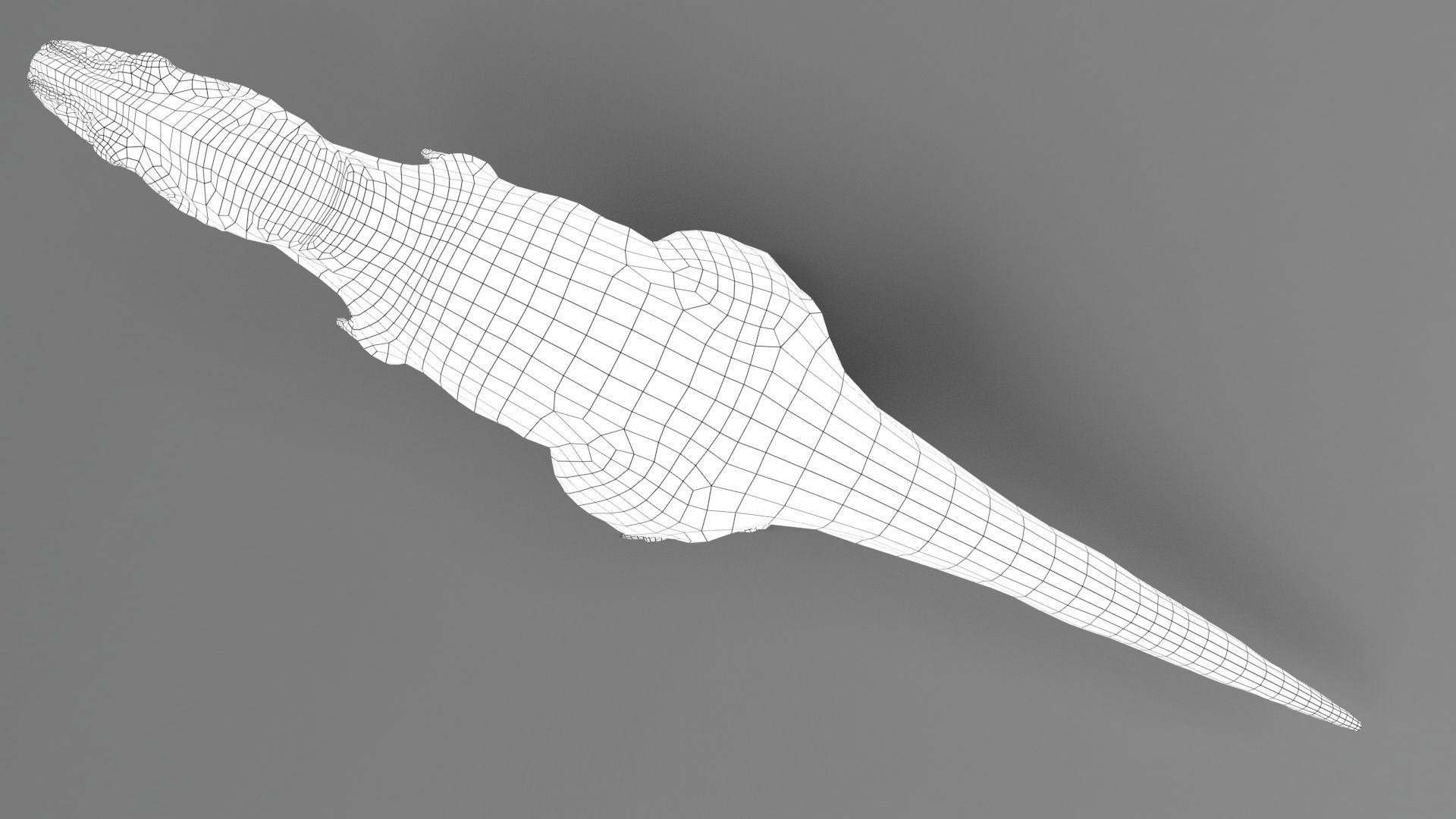 Dinosaur Zhuchengtyrannus Magnus- Ancestor of TRex  58 Anims Low-poly 3D model_20