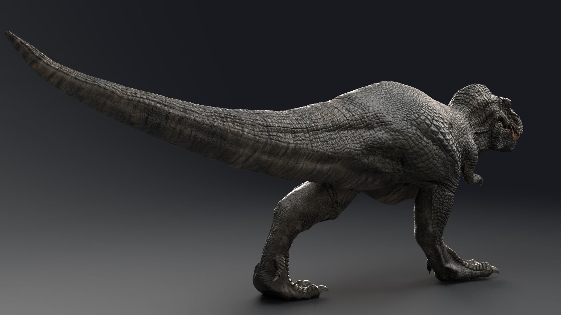 Dinosaur Zhuchengtyrannus Magnus- Ancestor of TRex  58 Anims Low-poly 3D model_8