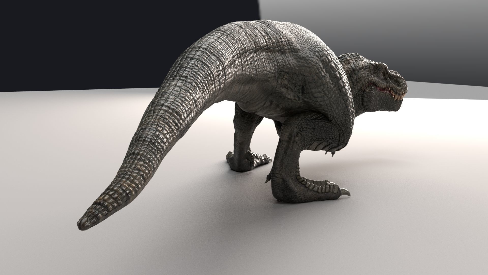 Dinosaur Zhuchengtyrannus Magnus- Ancestor of TRex  58 Anims Low-poly 3D model_14