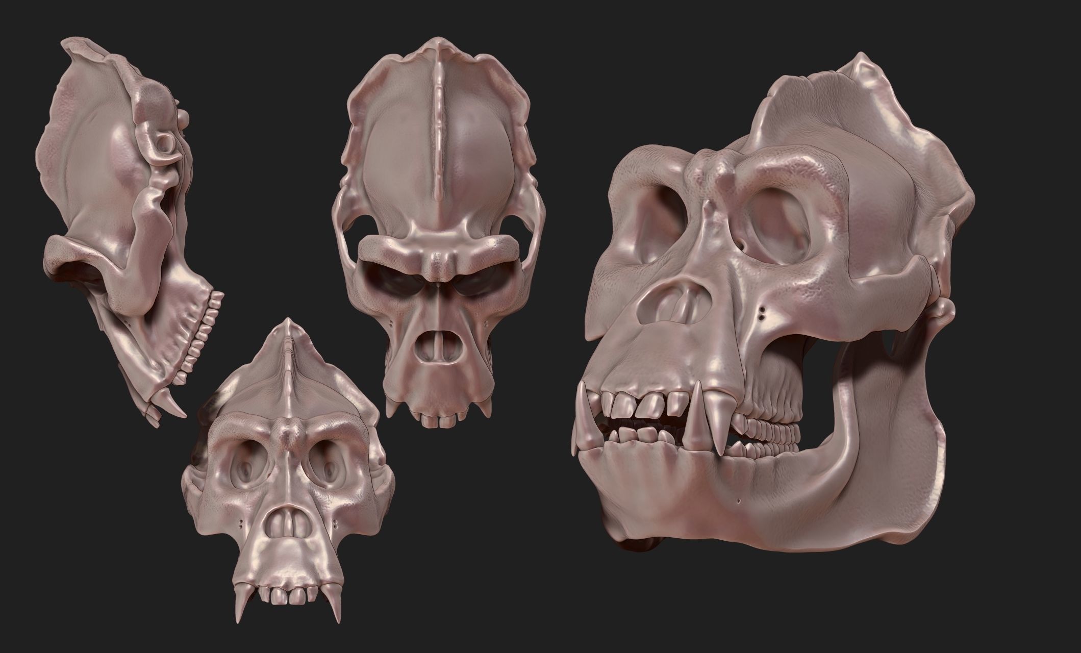Gorilla Skull - CNC and 3D print model_12