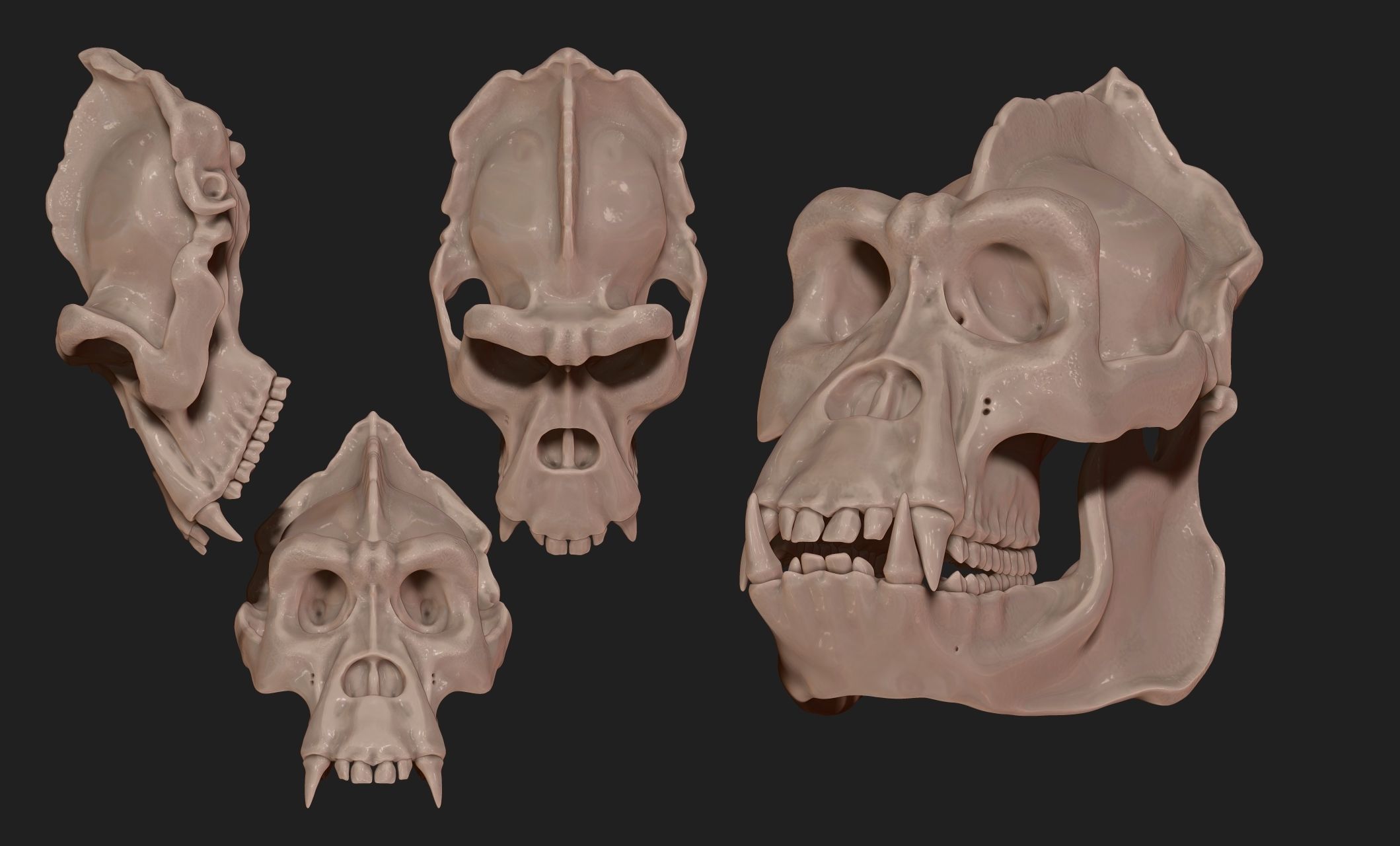 Gorilla Skull - CNC and 3D print model_10