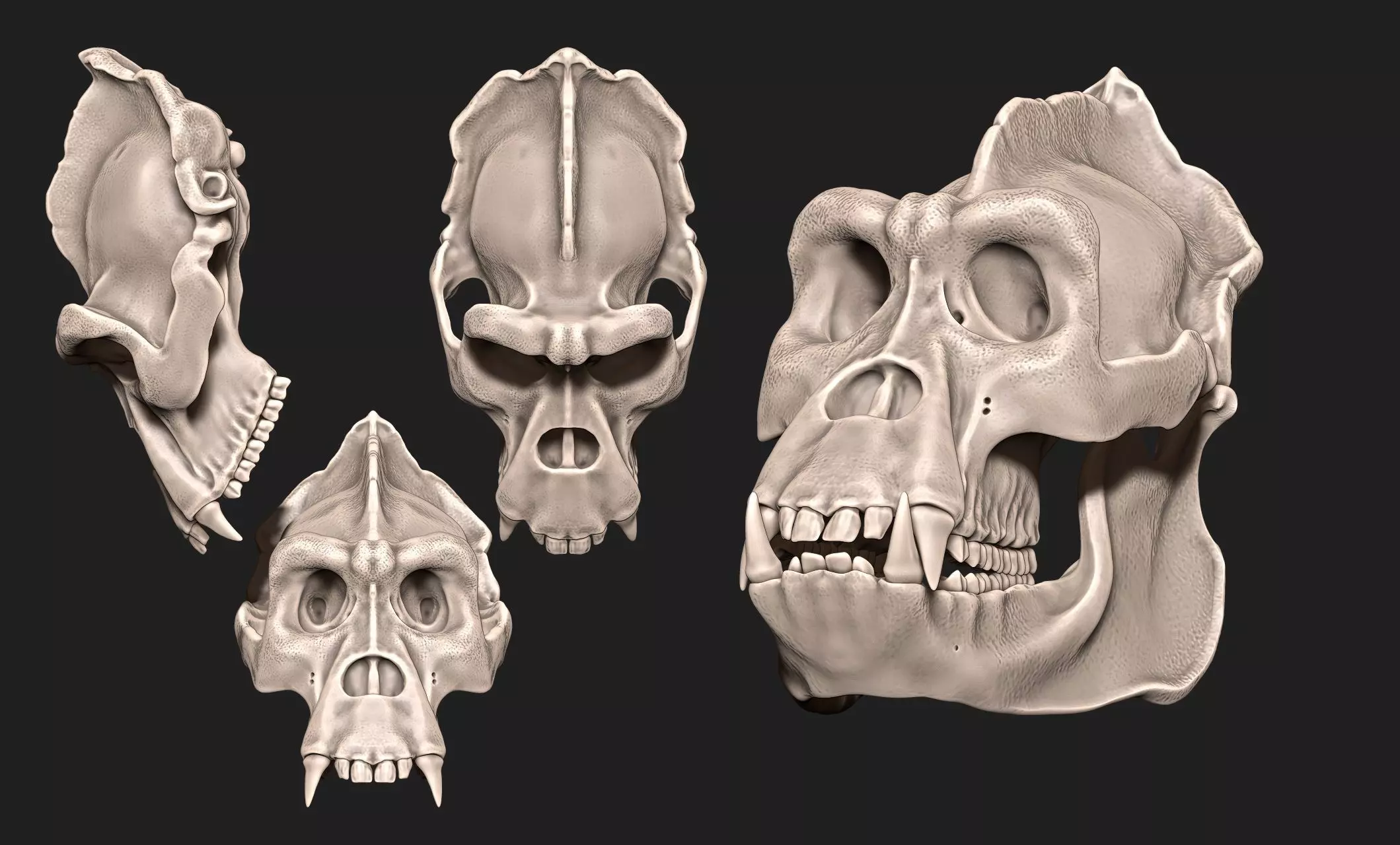 Gorilla Skull - CNC and 3D print model_0