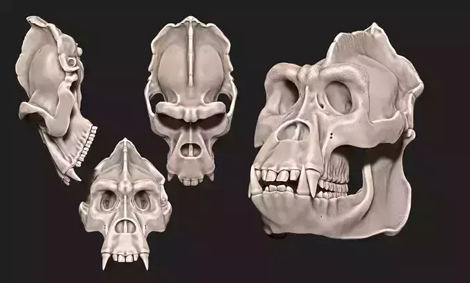 Gorilla Skull - CNC and 3D print model
