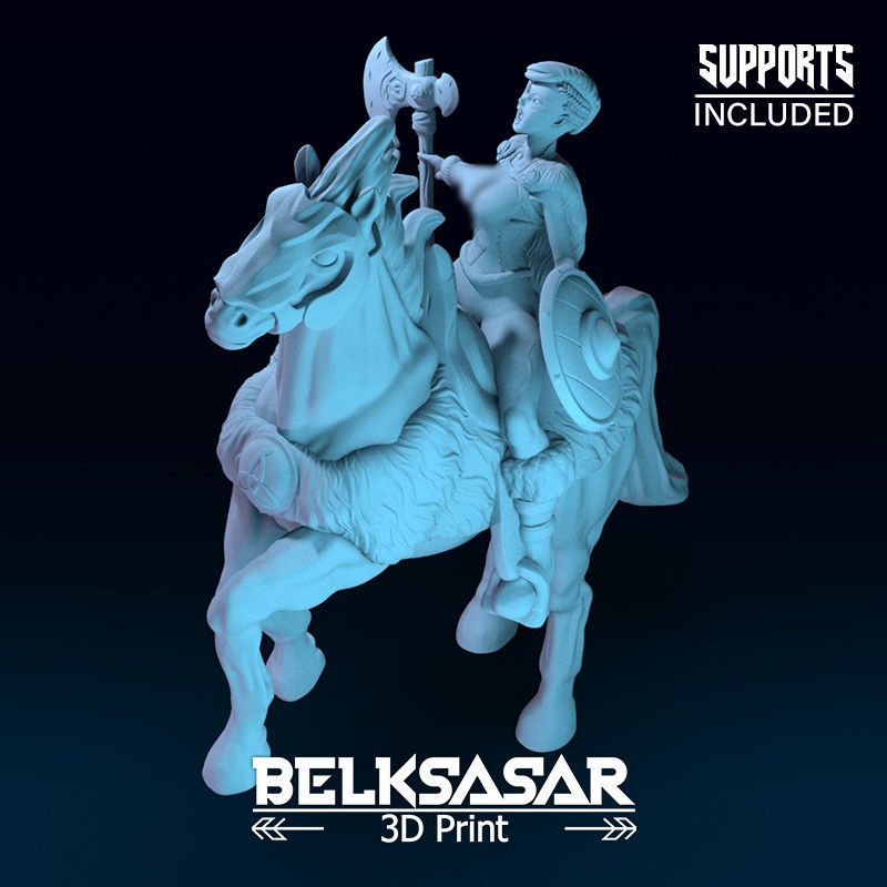 Viking Rider Normal and Nude 3D print model_15