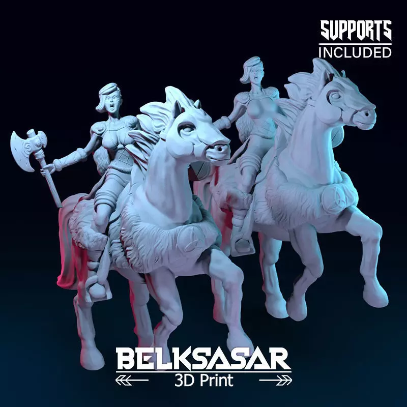 Viking Rider Normal and Nude 3D print model_0