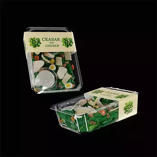 Salad Caesar 3D model