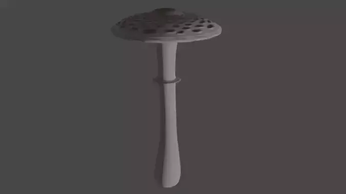 parasol mushroom
