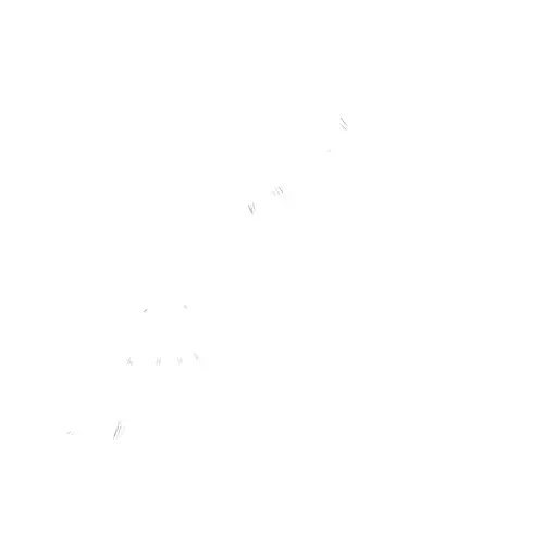 Shaddoll- Toon Girl Rigged and Skinned