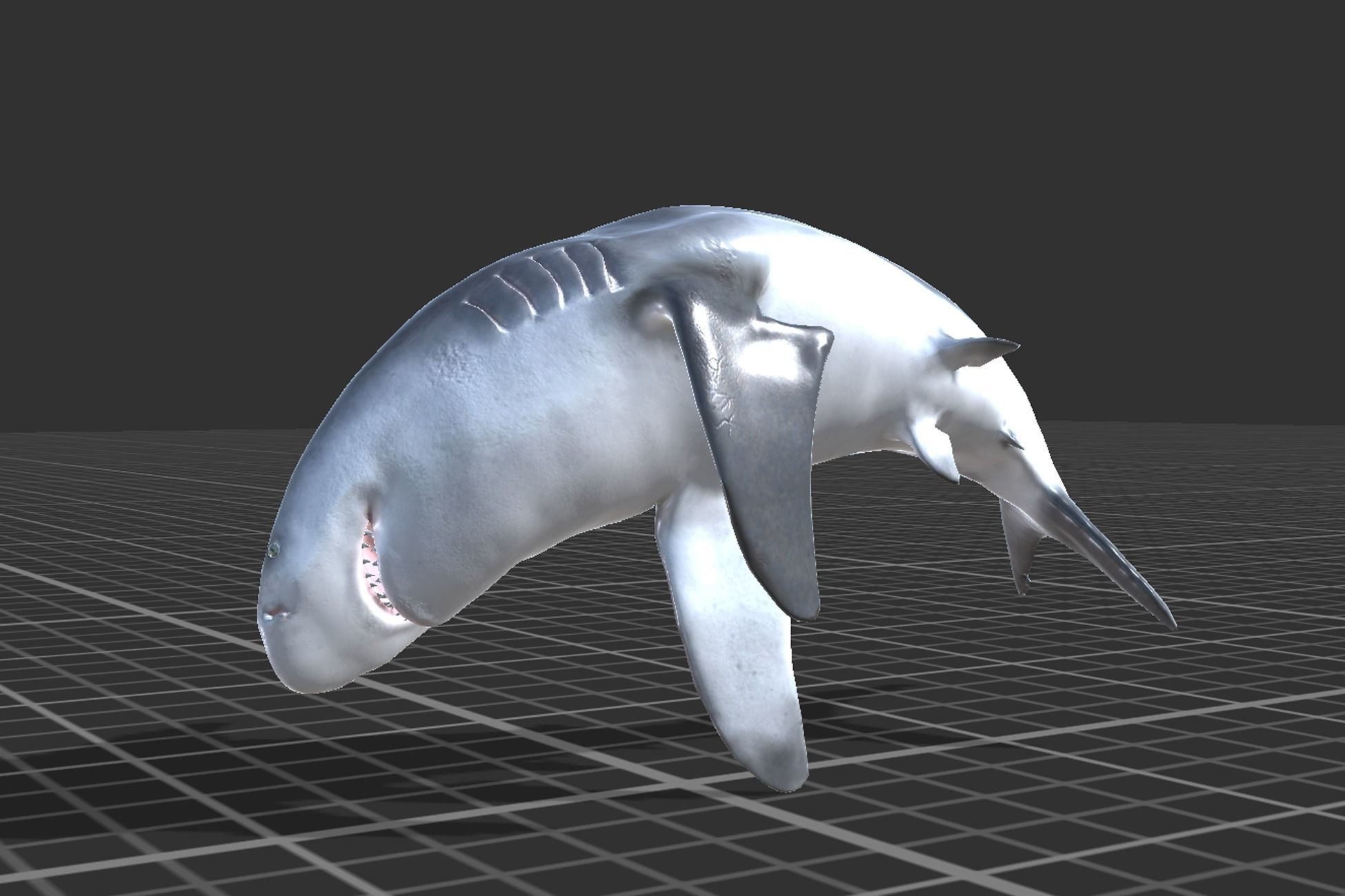 Bull Shark Low-poly 3D model_8