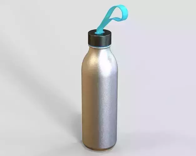Water Flask 3D print model