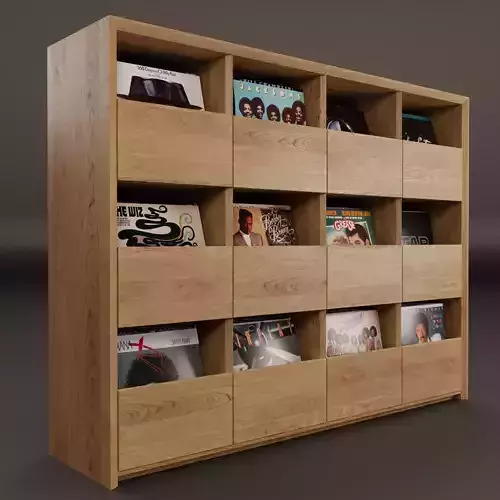 Vinyl Storage No16