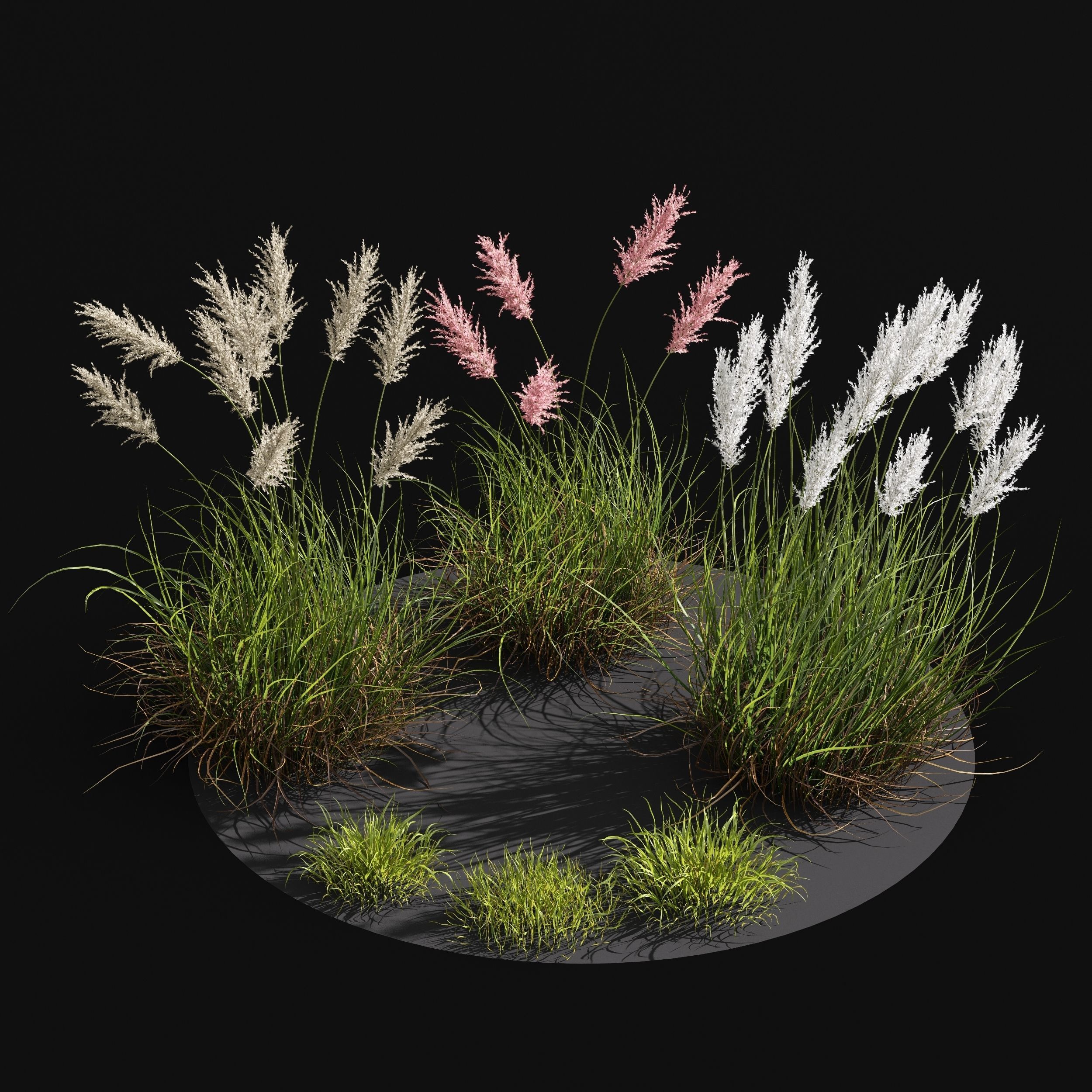 Meadow Lawn Grassland Set 018 3D model_2