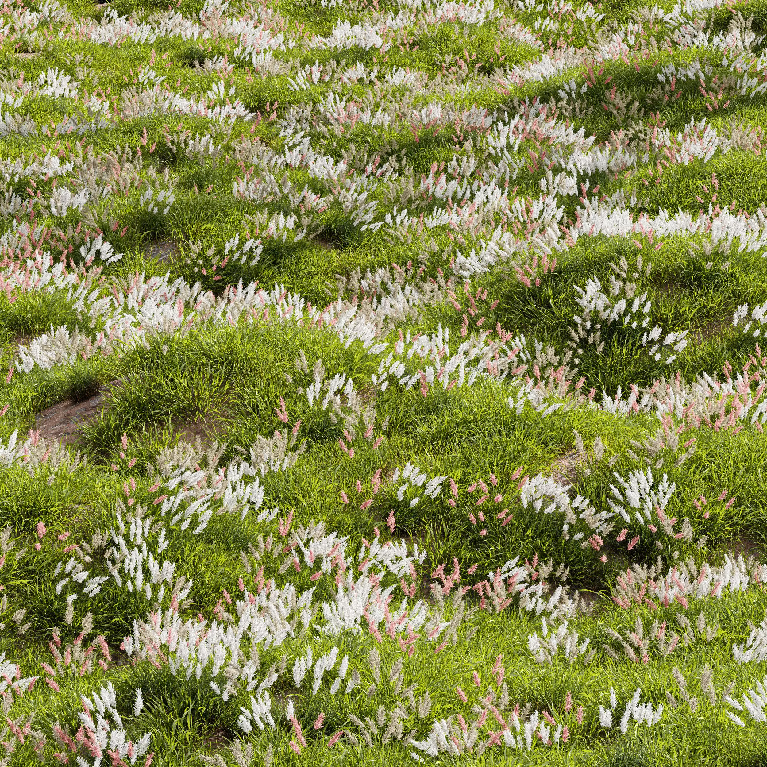 Meadow Lawn Grassland Set 018 3D model_0