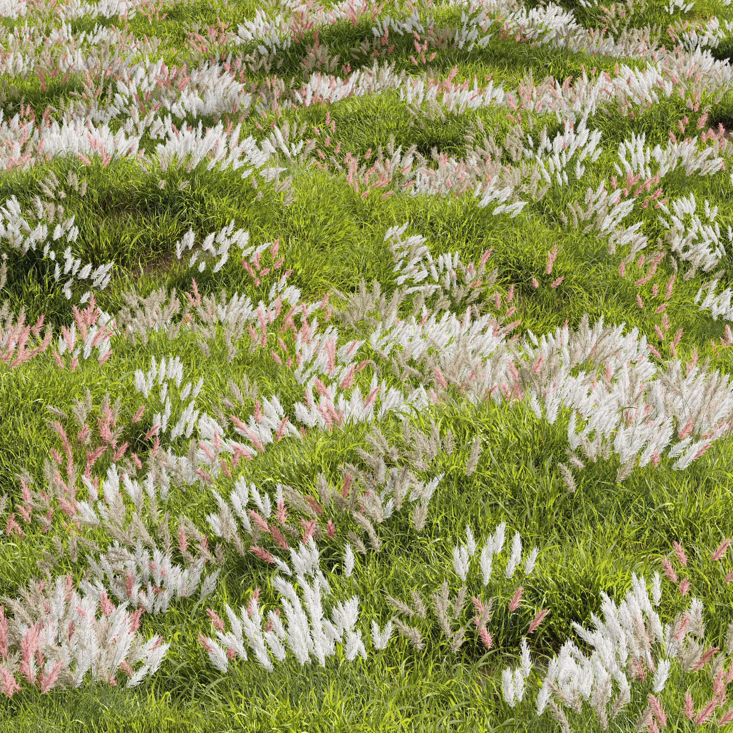 Meadow Lawn Grassland Set 018 3D model_1